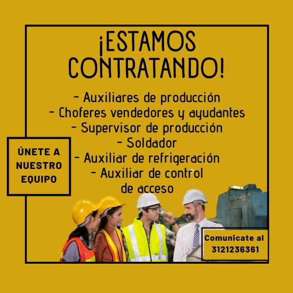 Auxiliar de Producción