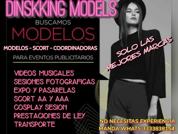 Modelos