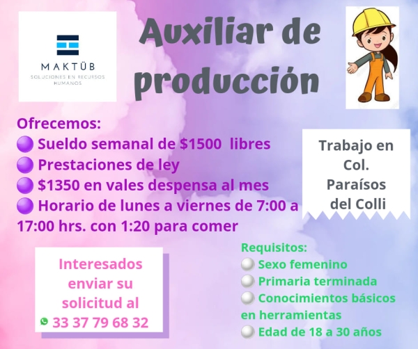 Auxiliar de Producción