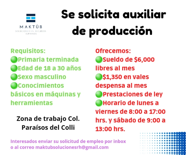 Auxiliar de Producción