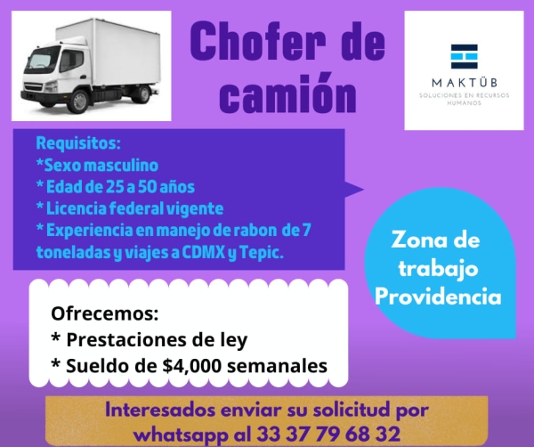 Chofer de Camión