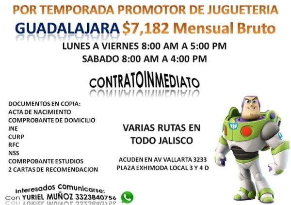 Promotor de Jugueteria