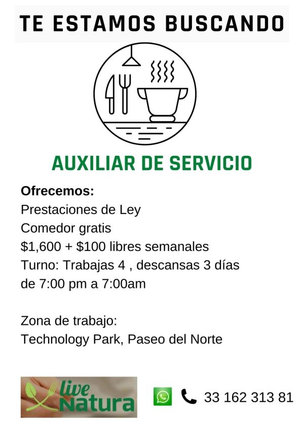 Auxiliar de Servicio