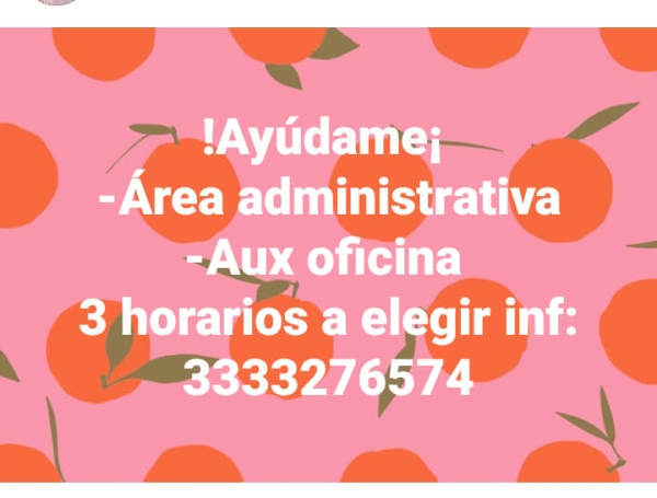 Auxiliar de Oficina