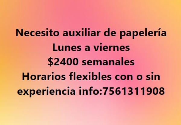 Auxiliar de Papeleria