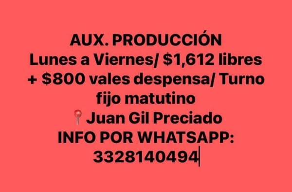 Auxiliar de Produccion