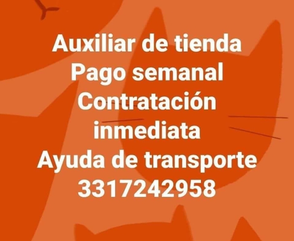 Auxiliar de Tienda