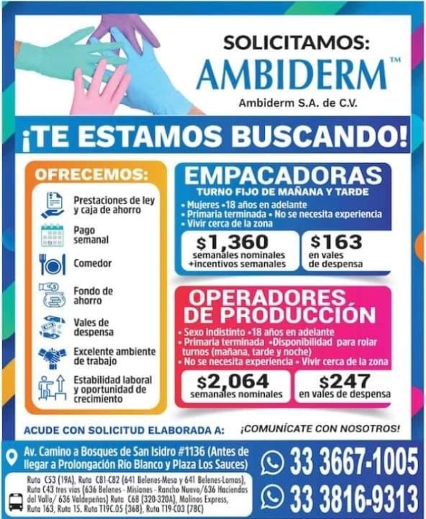 Empacadoras y Operadores de Producción