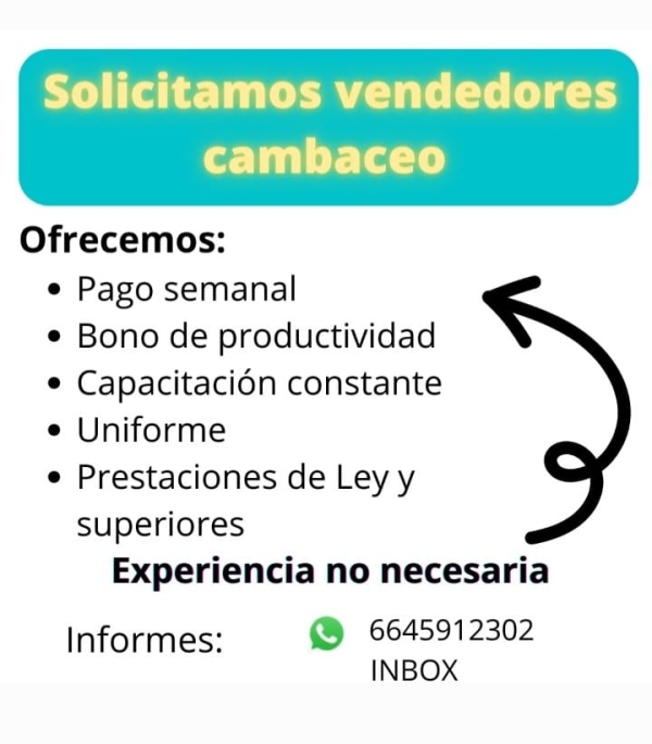 Vendedores de Cambaceo