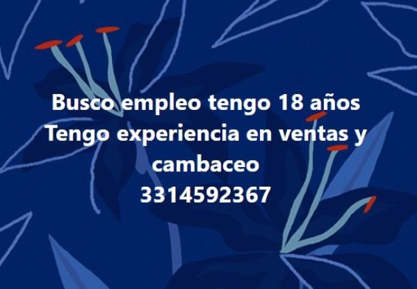 Experiencia En Ventas